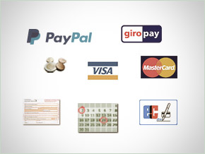 Logos: Paypal, giropay, Visa, Mastercard, Überweisung, Ratenzahlung, EC