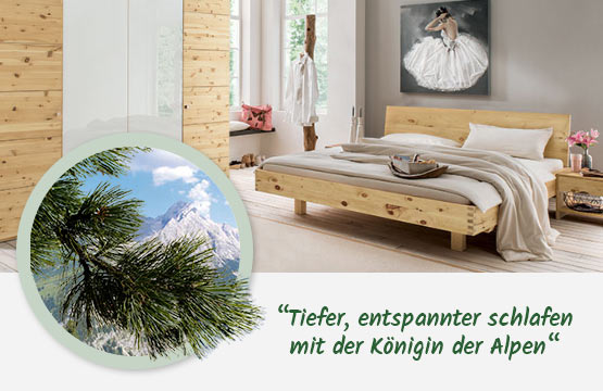 Zirbe - die Königin der Alpen