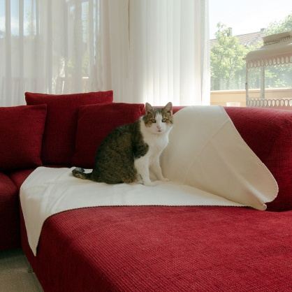 Katzen-Decke Calina