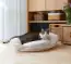 Gemütlich-weiches Katzenbett für den gesunden Schlaf