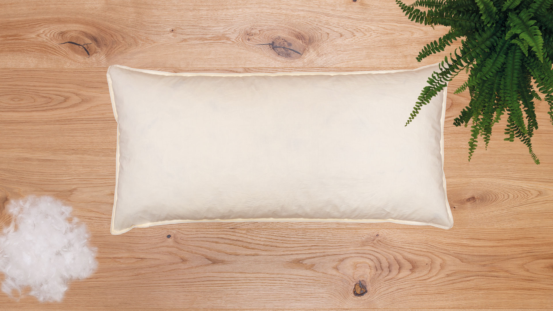 Klassisches Daunenkissen - federleichter, kuscheliger Schlafkomfort